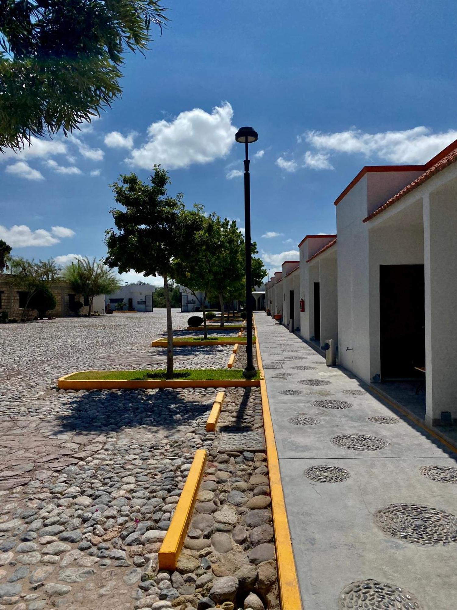 Cedral Hotel Mina Real מראה חיצוני תמונה